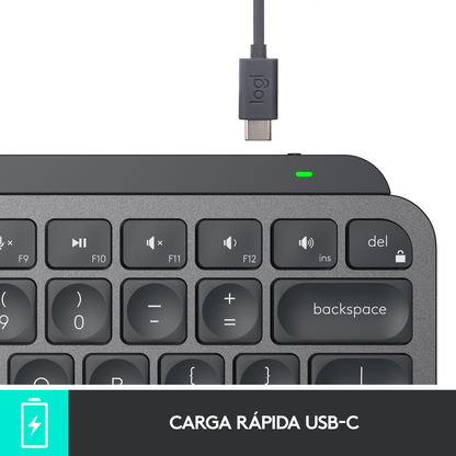 Teclado Avanzado Recargable, Logitech Mx Keys Mini - Grafito + Mouse Inalámbrico Avanzado Logitech MX Master 4 Bluetooth/Bolt - Grafito